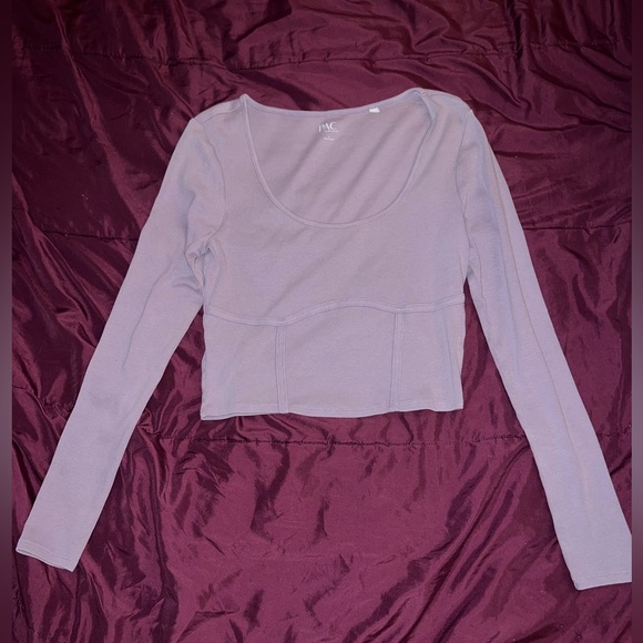 PacSun Tops - PacSun Women’s Long Sleeve Seam Detail Crop Top Dusty / Smokey Purple Large